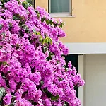 Borgo Dei Sogni Nyaraló