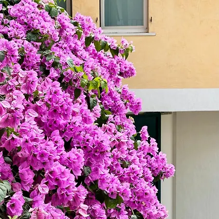 Borgo Dei Sogni Casa de Férias