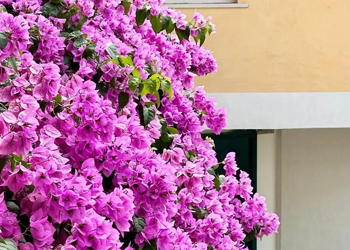 Borgo Dei Sogni Holiday home